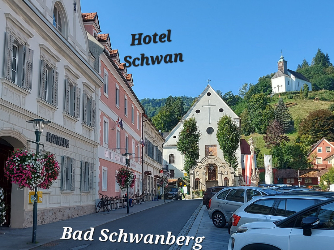 Hotel Zum Schwan主图