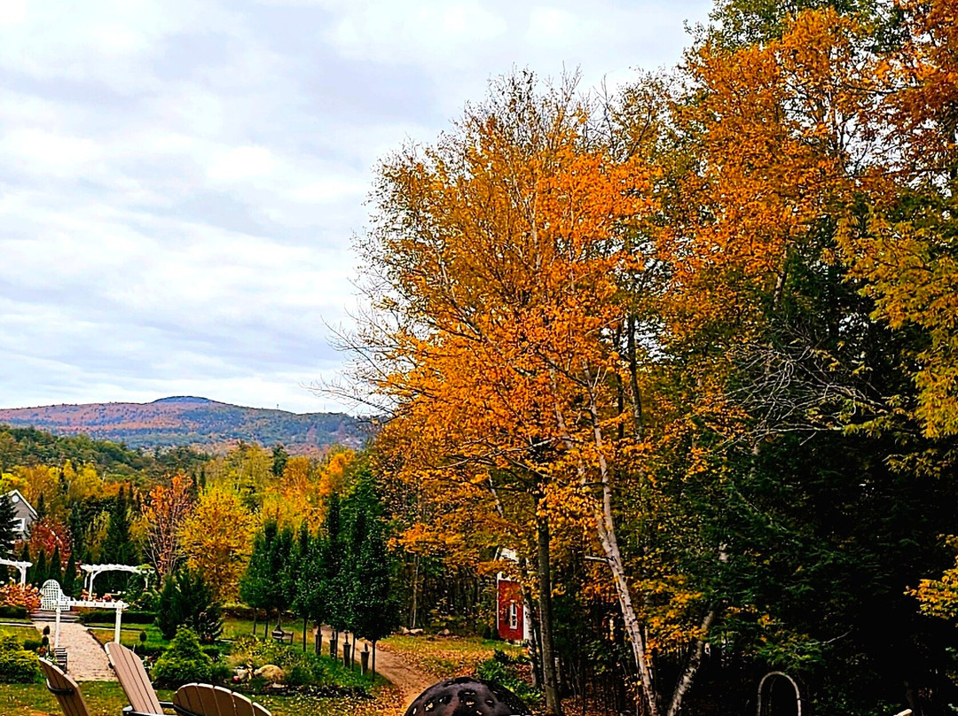 Starlight Lodge Cape Cod主图