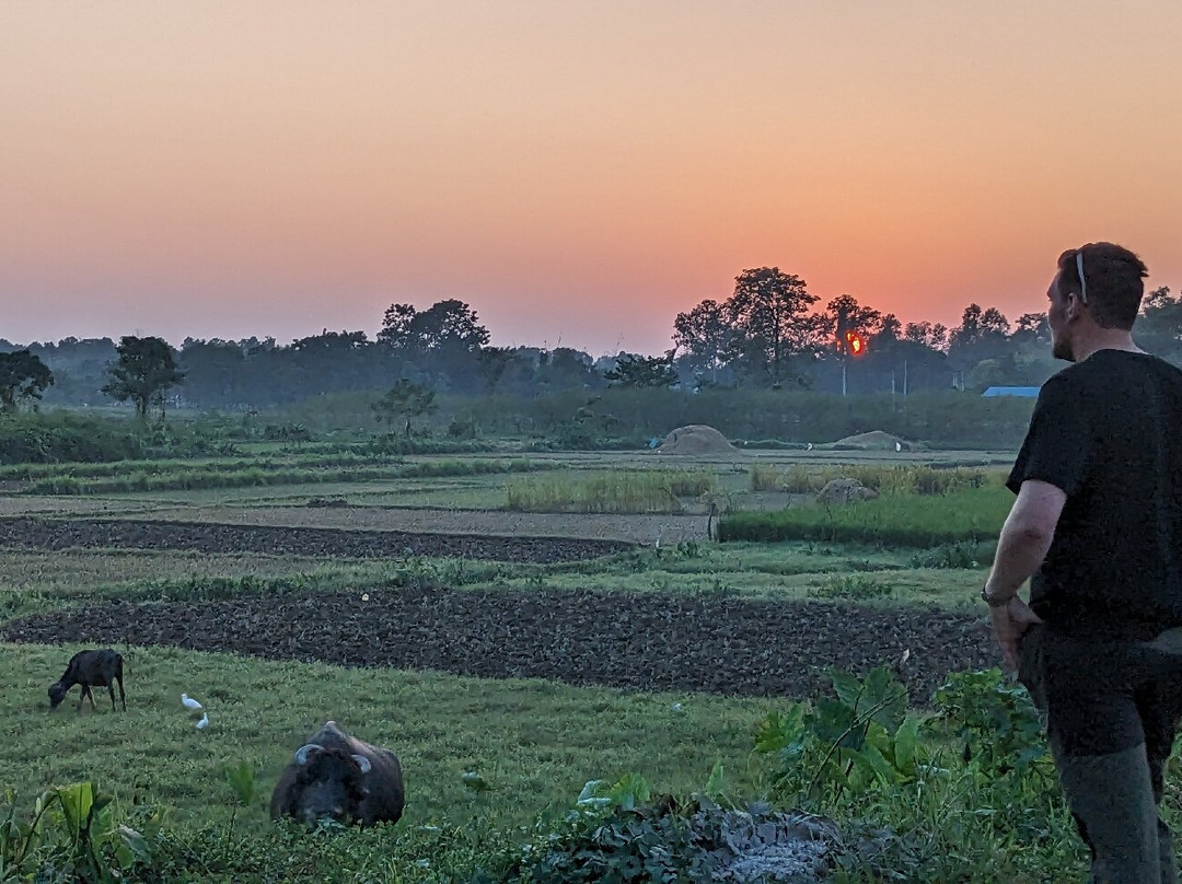 Tharu Community Home Stay主图