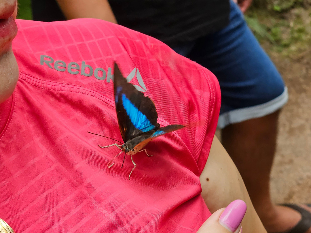 Mariposario Zhaveta Yard-拉梅尔塞必去景点