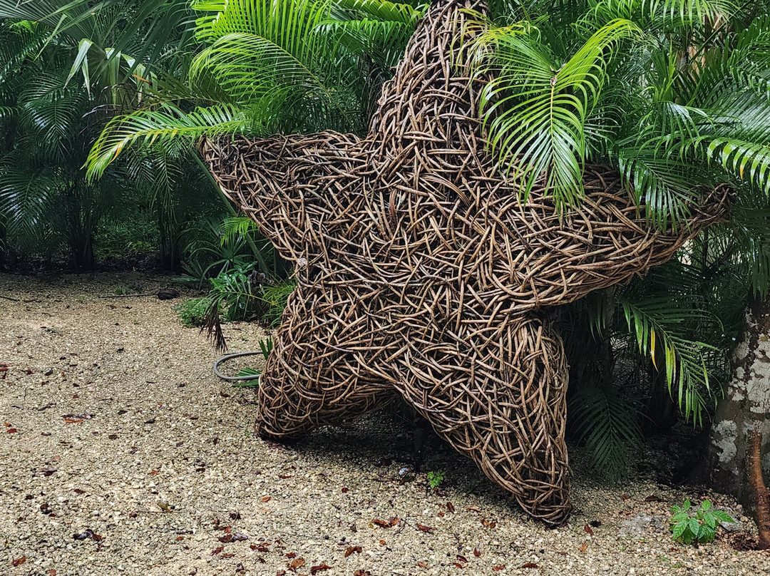 Cenote Elvira - Nature Sanctuary-从莫雷洛斯港必去景点