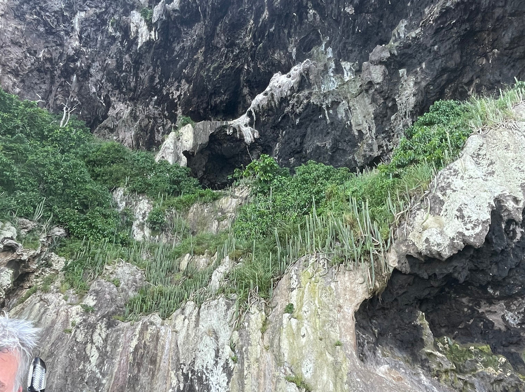 Diamant Sub Club景点图片