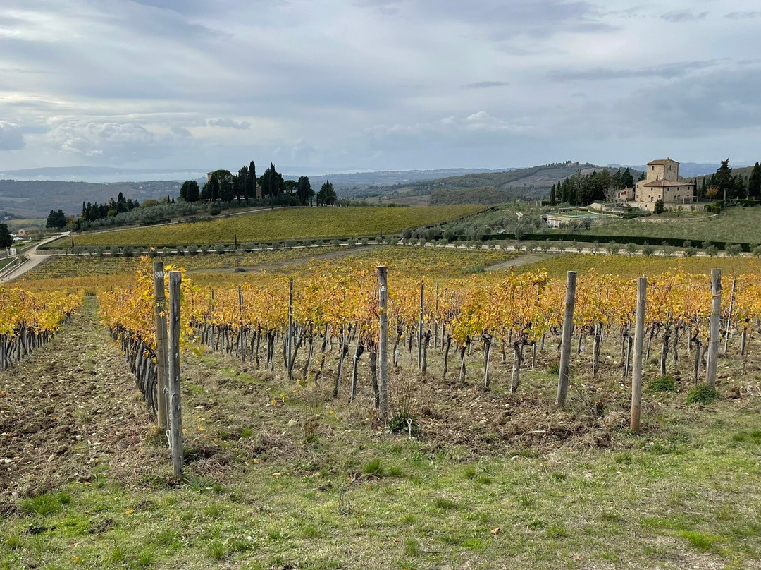 Scenic wine tours in Tuscany景点图片