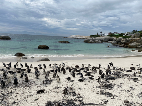 AAE-开普敦中心区必去景点