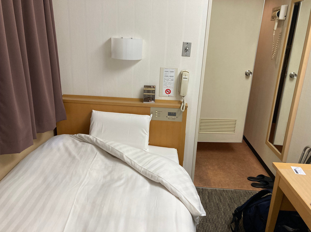 尼崎市中央大酒店主图