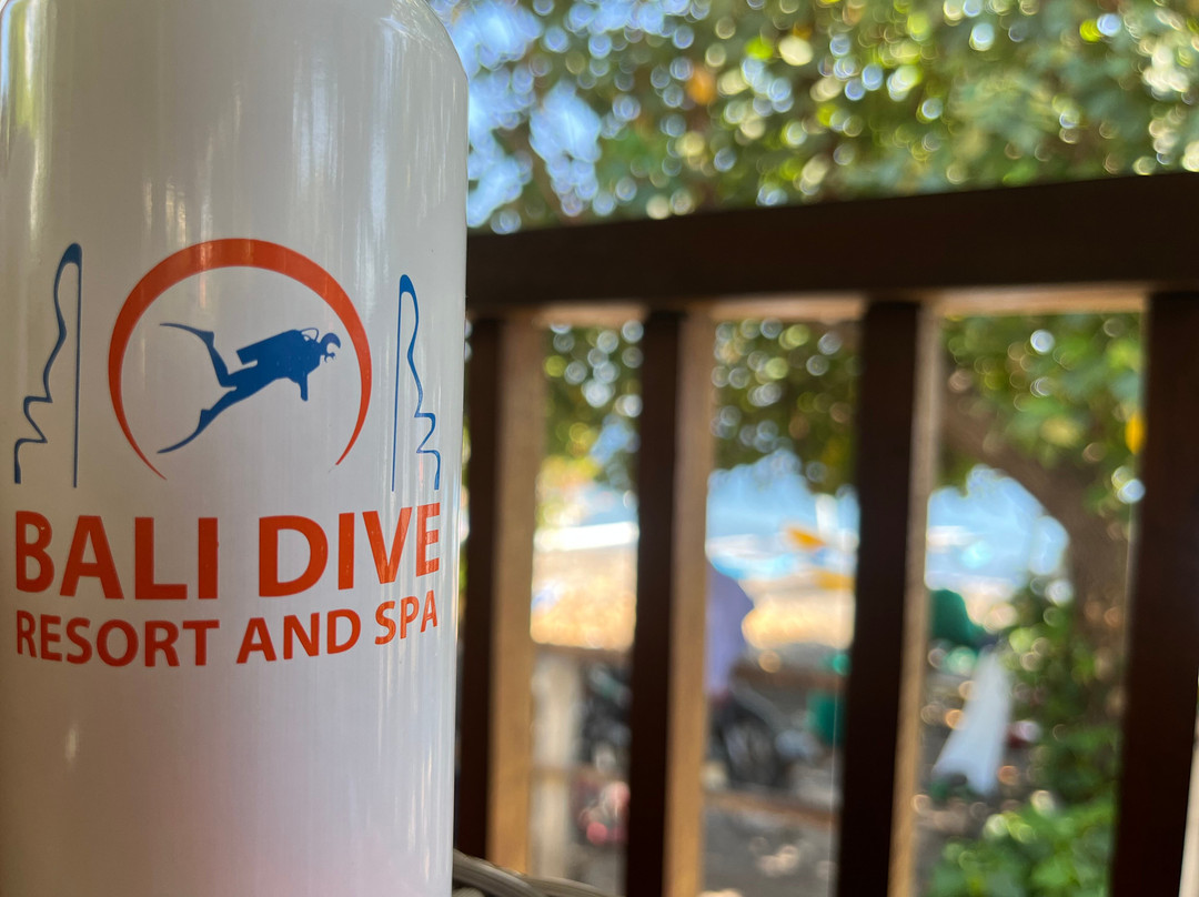 巴厘岛潜水度假及Spa酒店主图