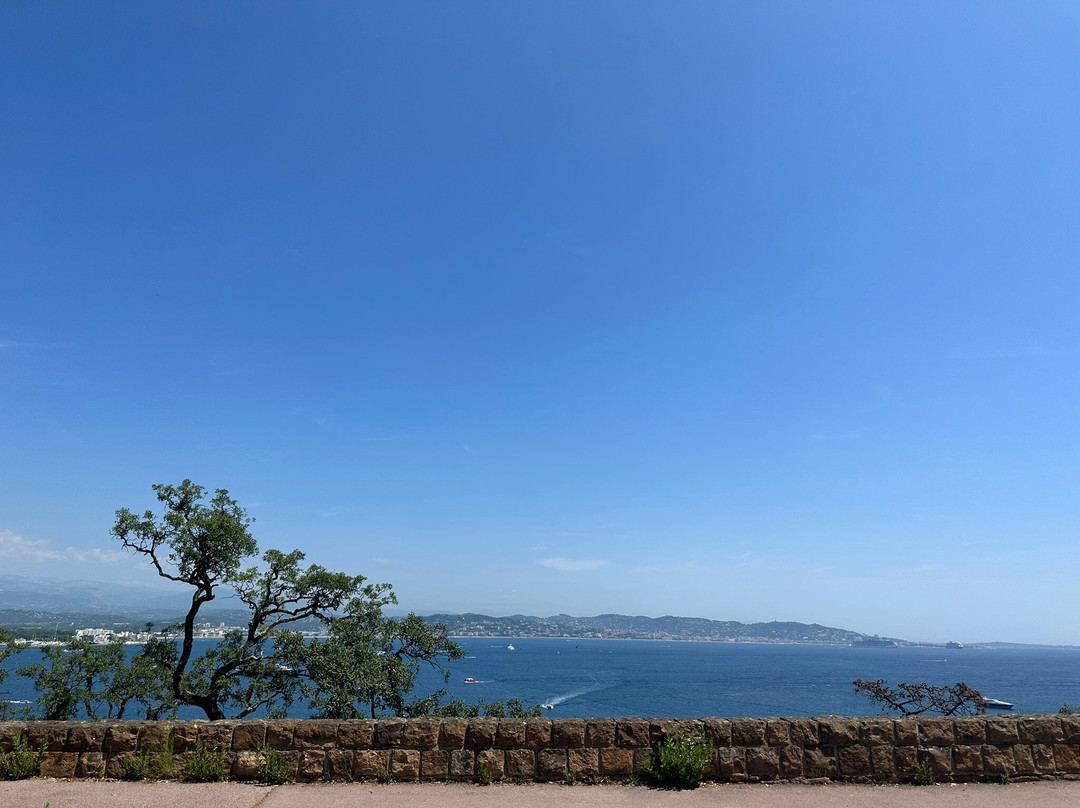 Plage du Pecheur Pointe de l'Aiguille景点图片