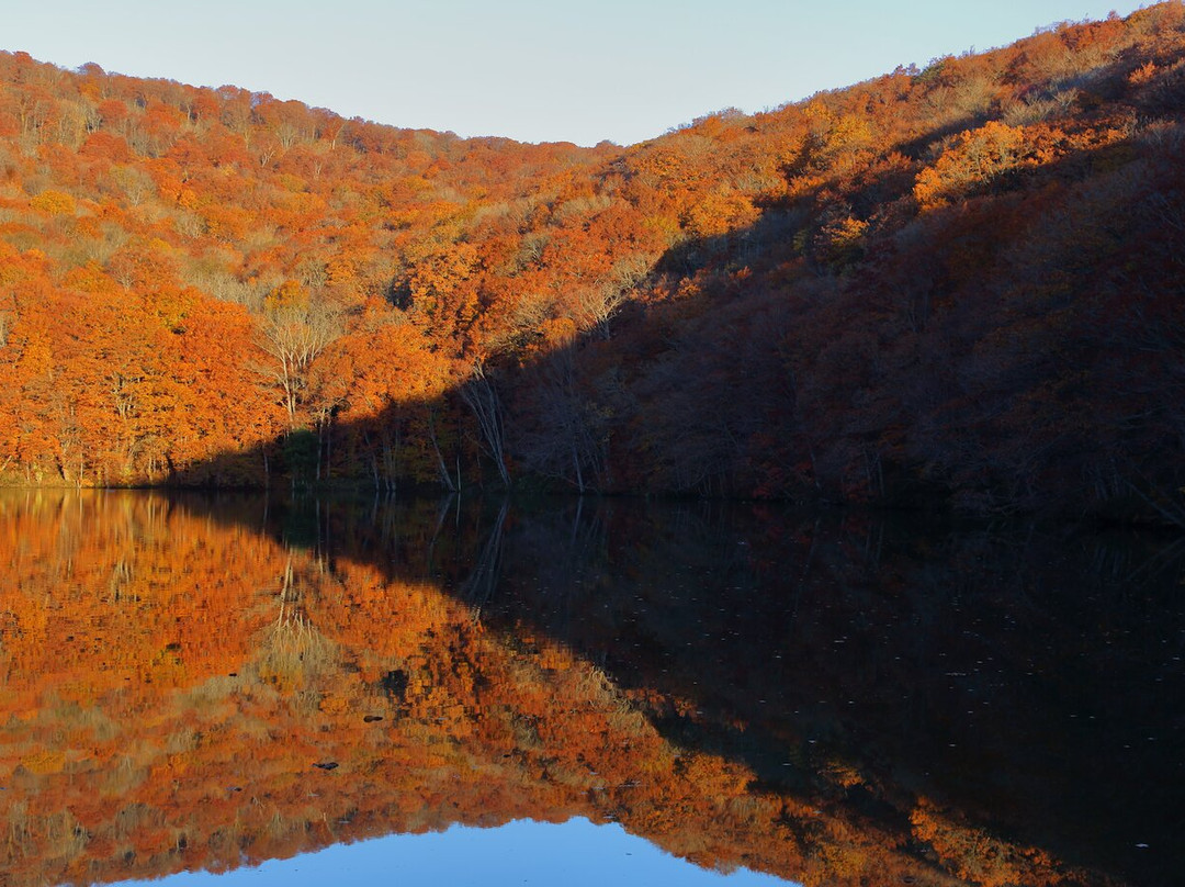 Tsutanonana Swamp-十和田市必去景点
