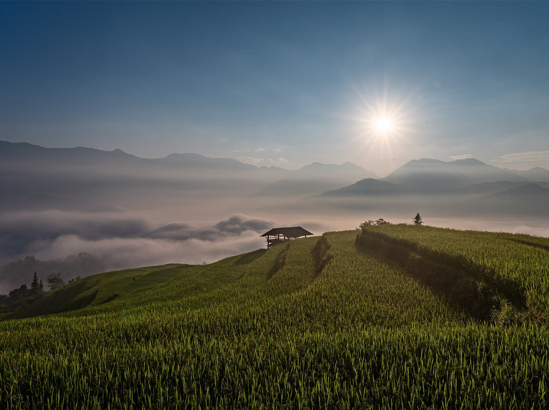 Hoang Su Phi Bungalow