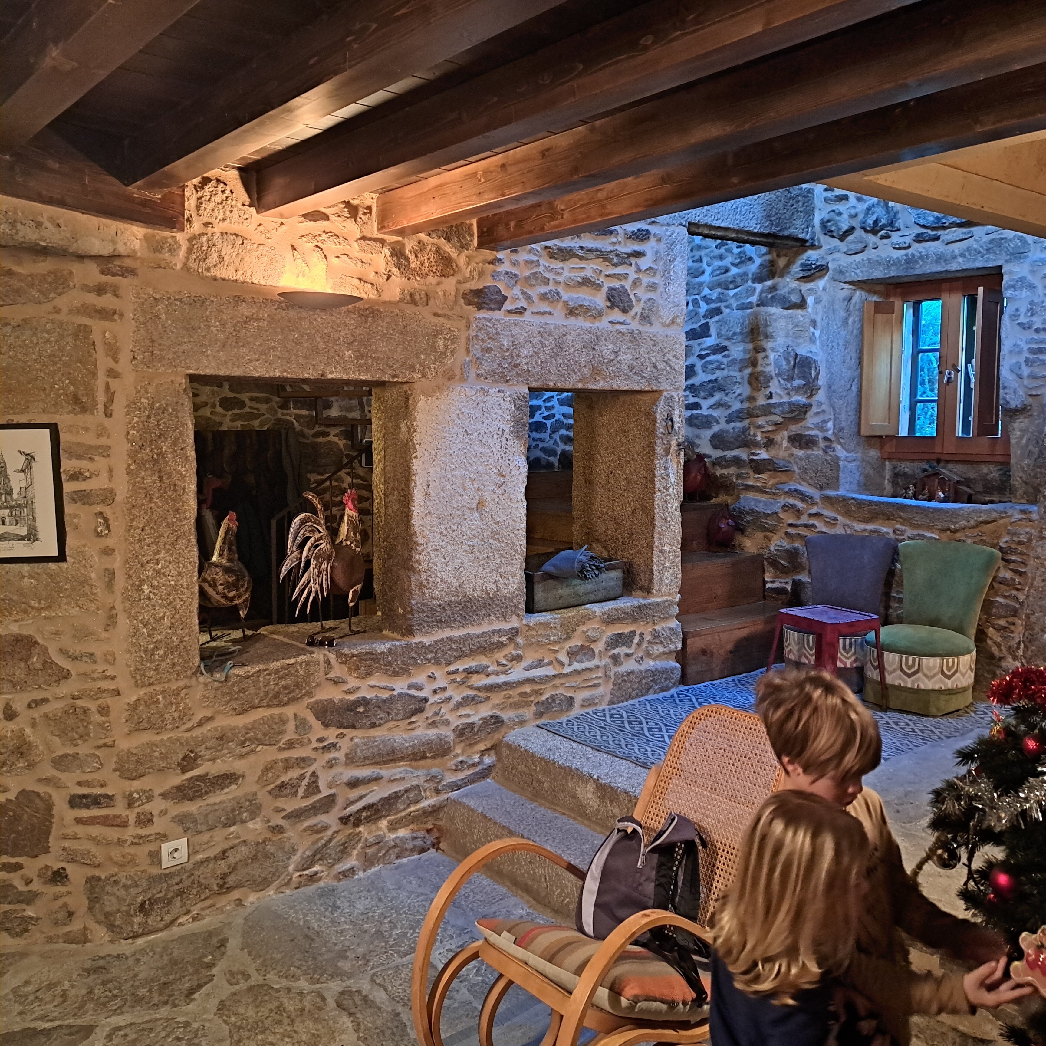 Casa Peón de Pardaces-家庭/游戏区
