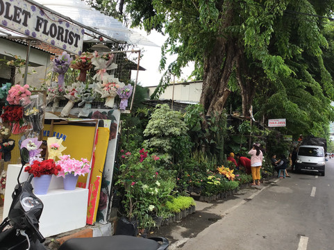 Toko Bunga Fian-泗水必去景点