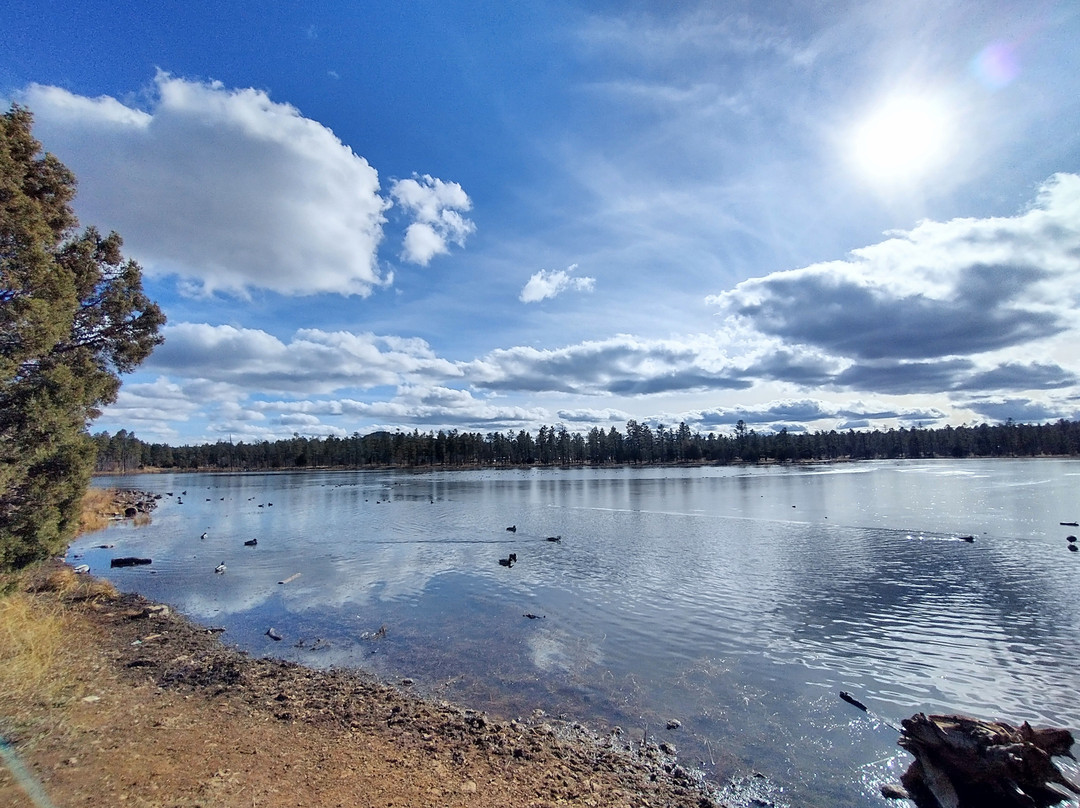 Woodland Lake Park-Pinetop-Lakeside必去景点