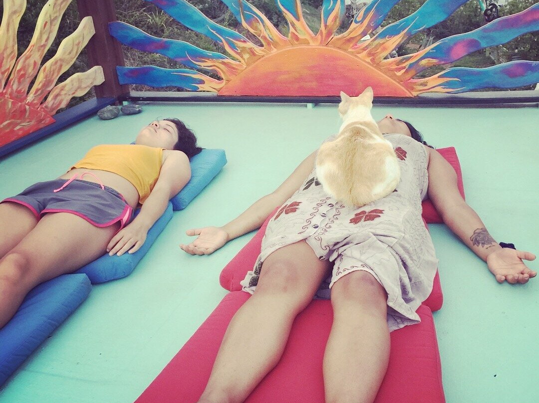 4 Elements Culinary & Wellness Center-Water Island必去景点