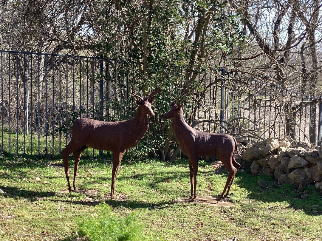 Fall Creek Vineyards-Driftwood必去景点