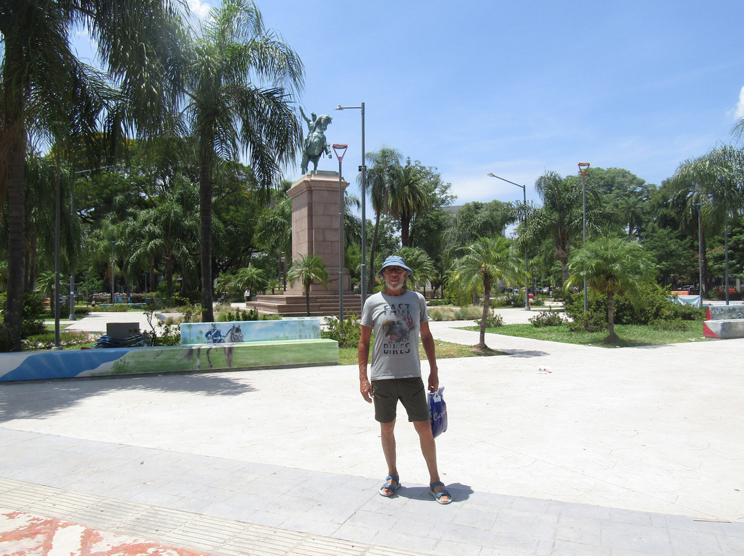 Plaza 25 de Mayo-雷西斯滕西亚必去景点