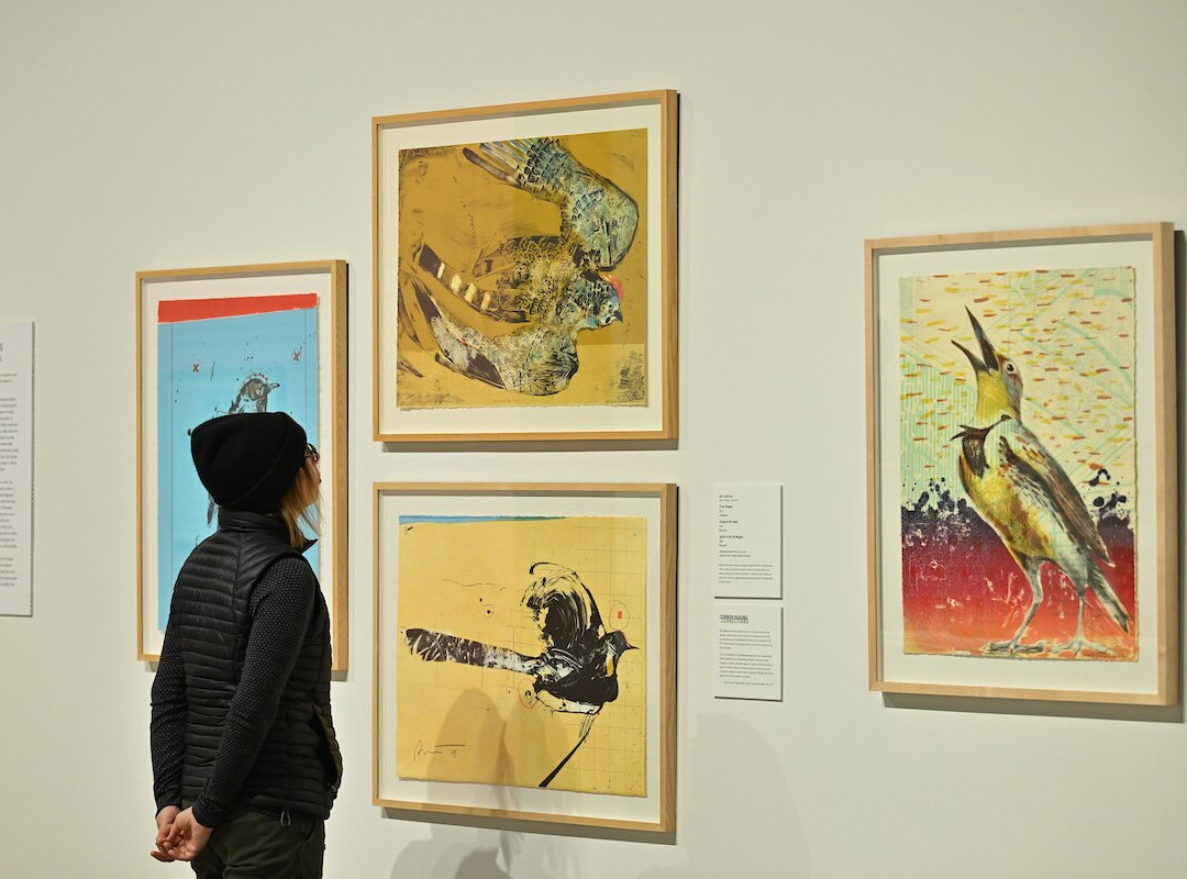 Jordan Schnitzer Museum of Art WSU-普尔曼必去景点