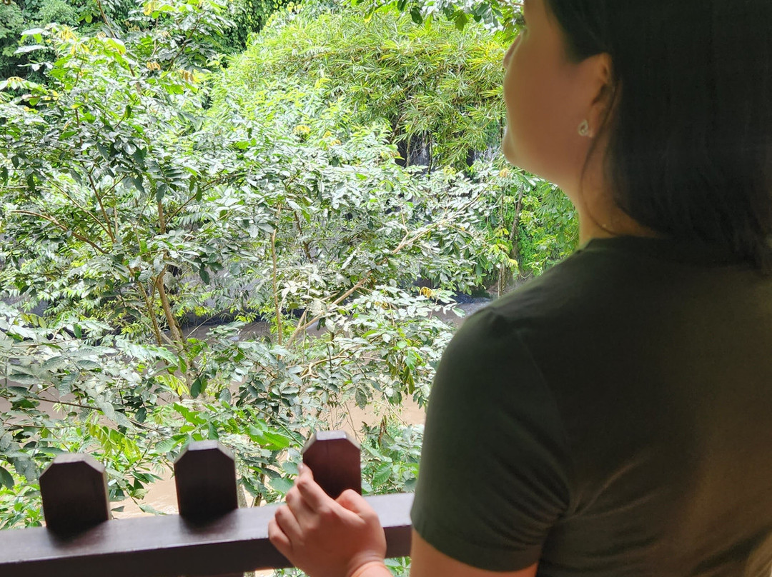 Haus Kohel - Hospedaje主图