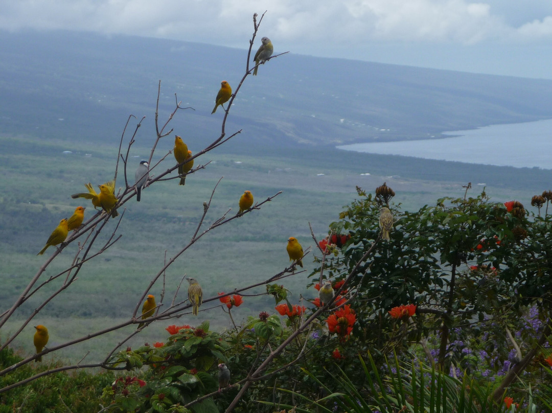 贝尔奴考纳旅社主图