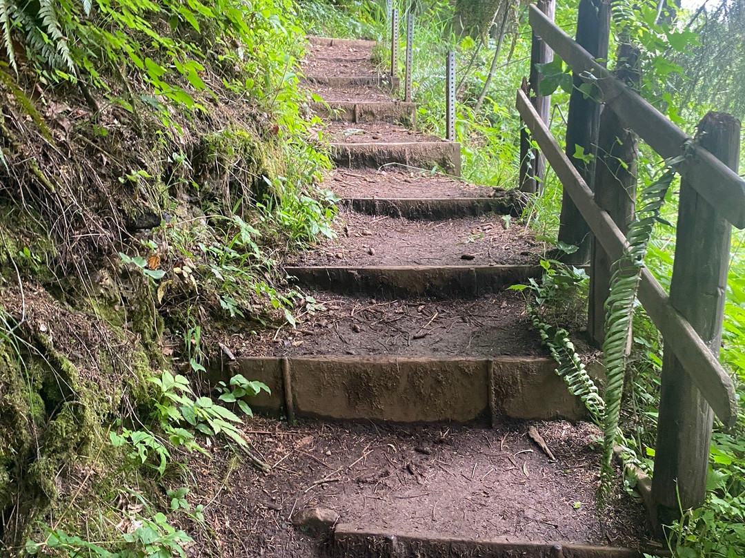 Young River Falls-阿斯托里亚必去景点