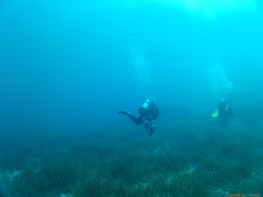 Erman Dive Center景点图片