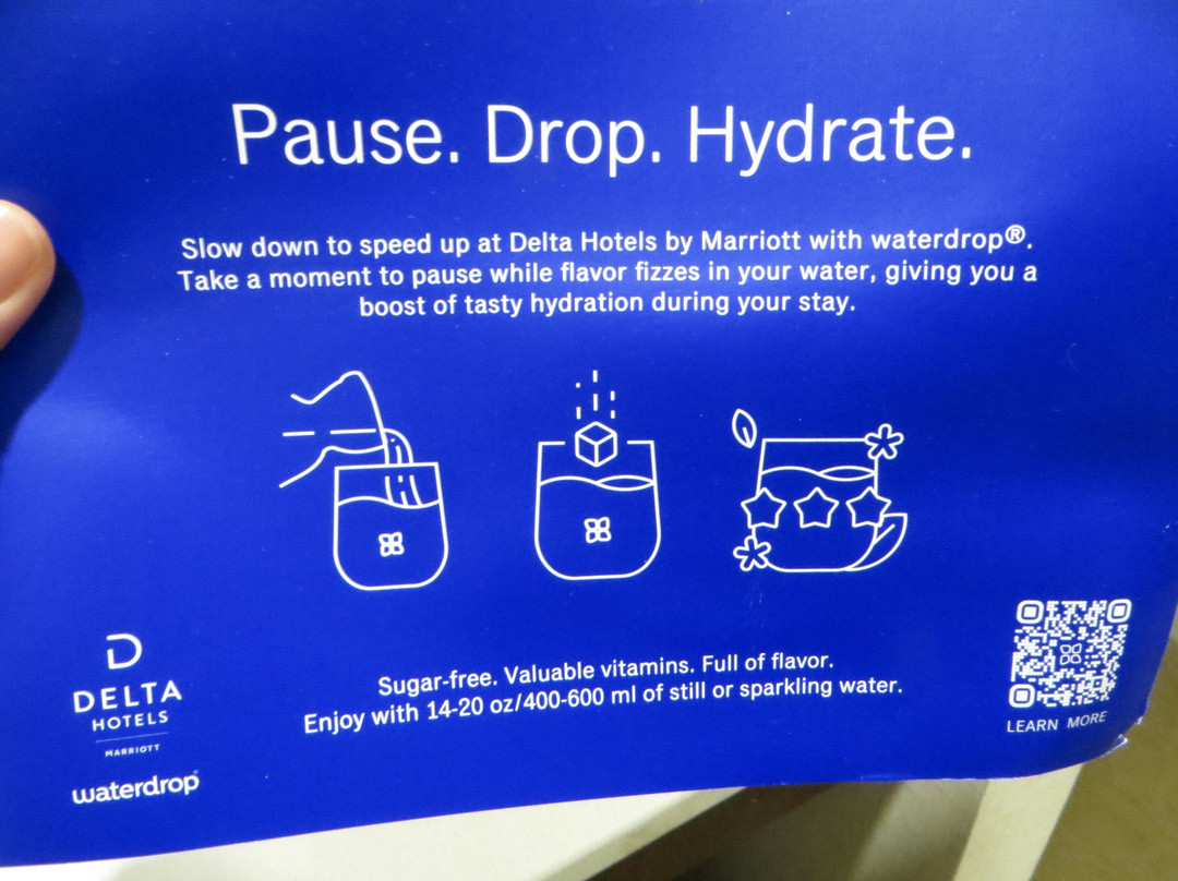 布伦瑞克三角洲酒店主图