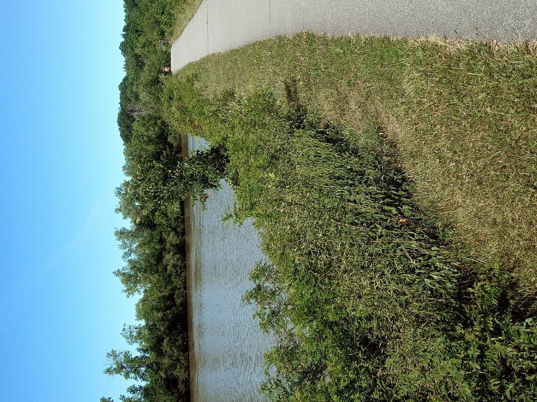 Erie Canal Trail景点图片