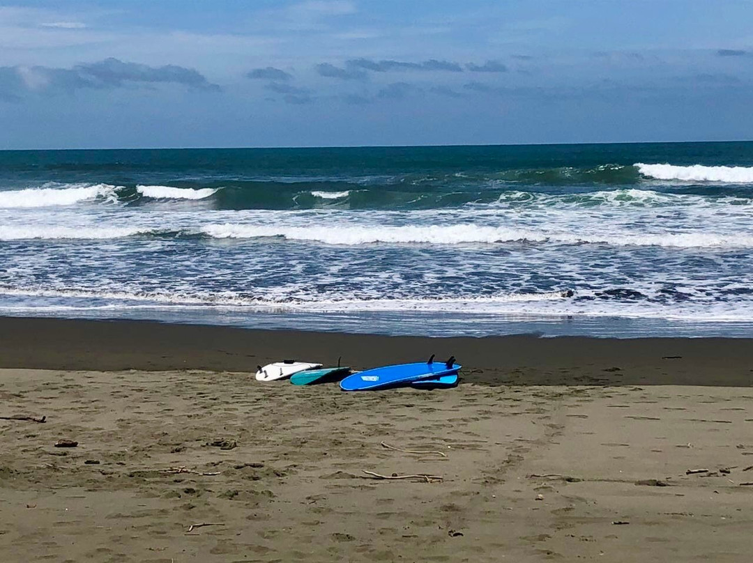 Matapalo’s Original Surf School-Savegre必去景点