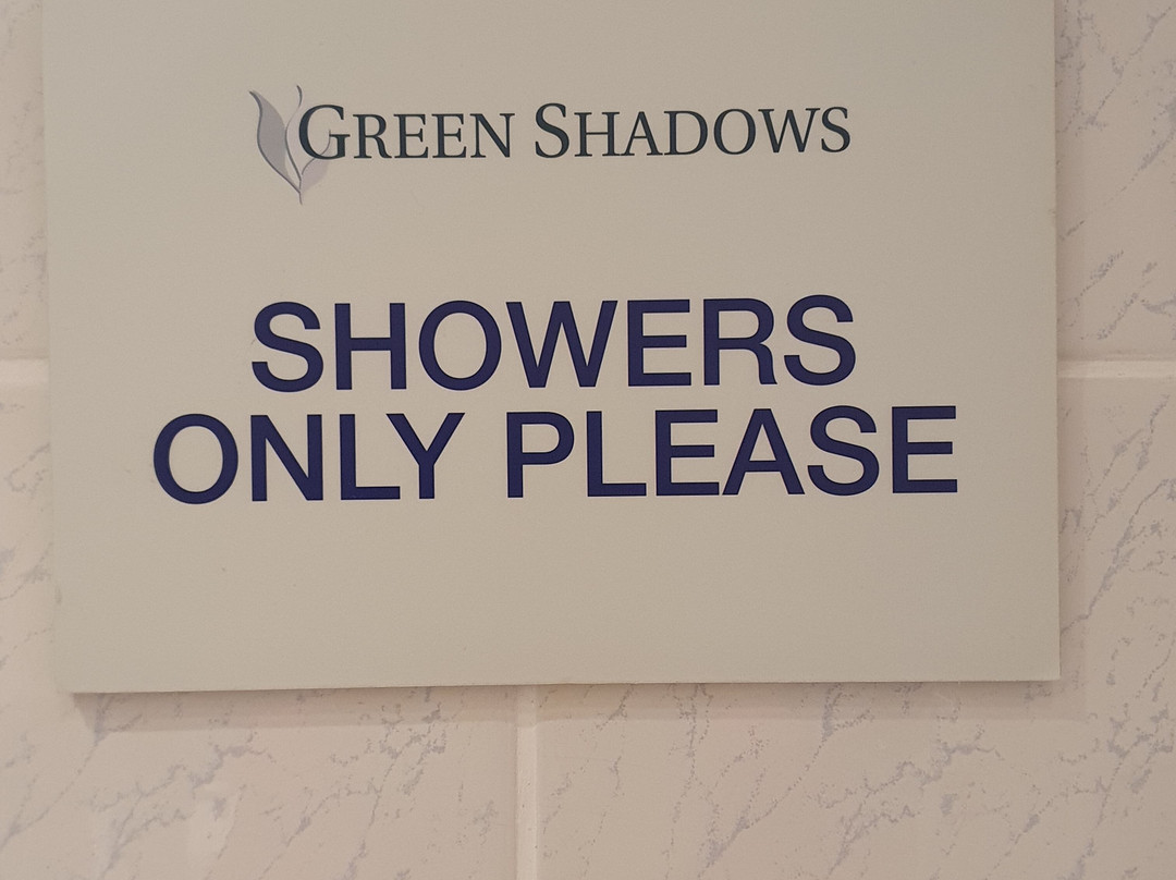 Green Shadows主图