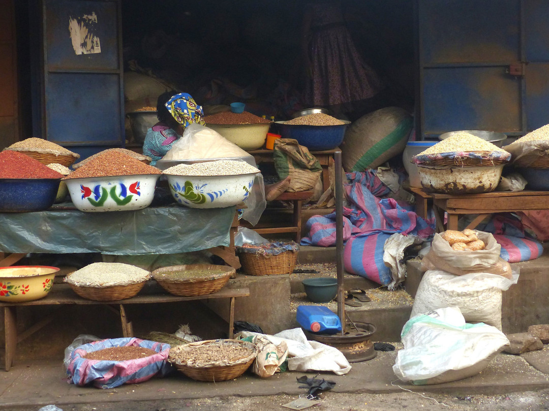 Évasion Bénin Culturel-Porto-Novo必去景点