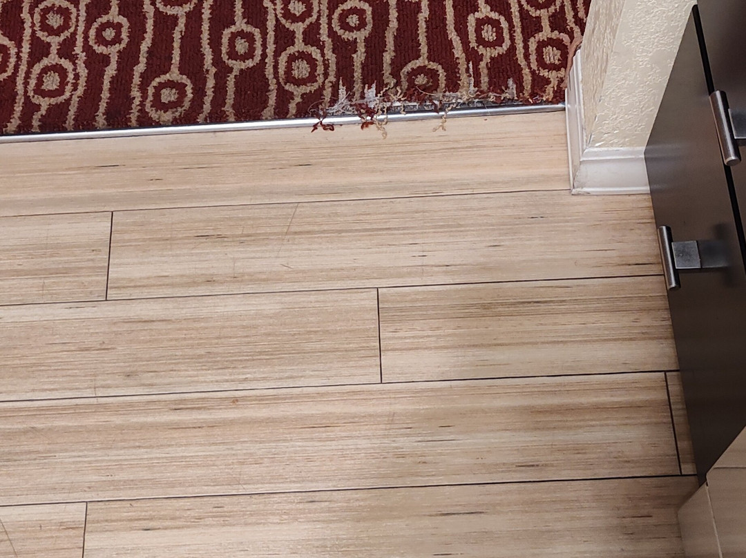 TownePlace Suites by Marriott Saginaw主图