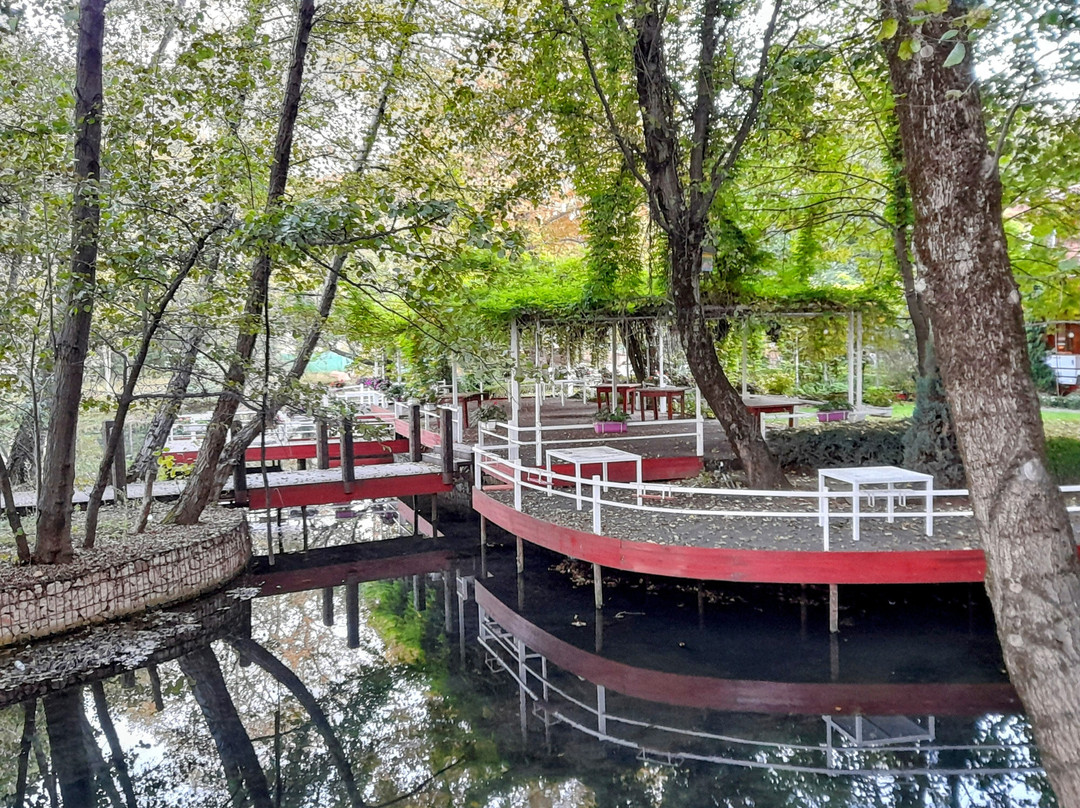 Driloni National Park-Pogradec必去景点