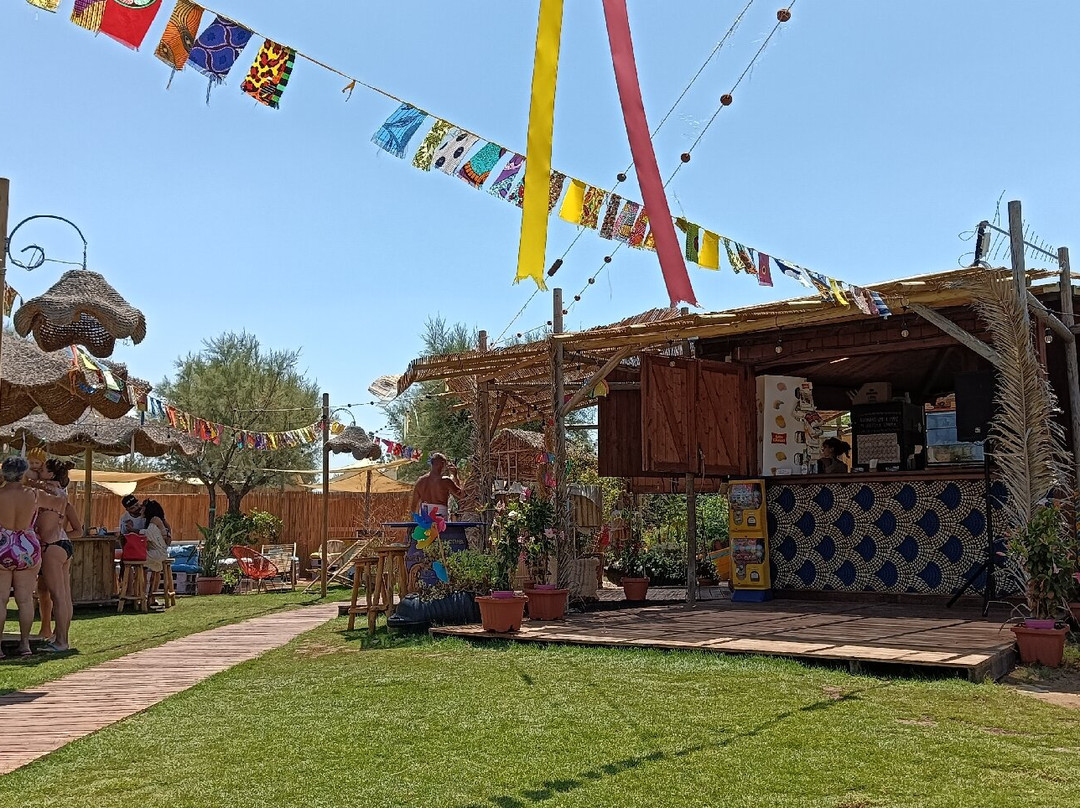 El Cohiba景点图片