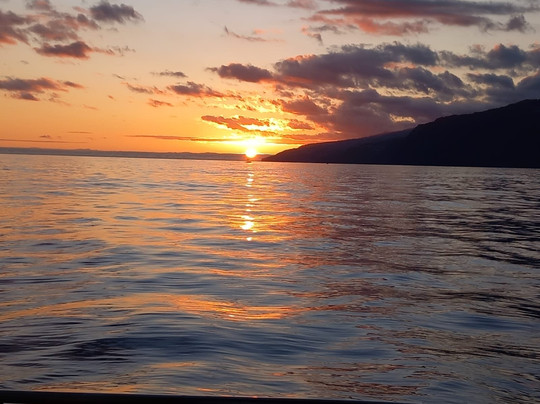 Madeira Ocean Tours-沙尔必去景点