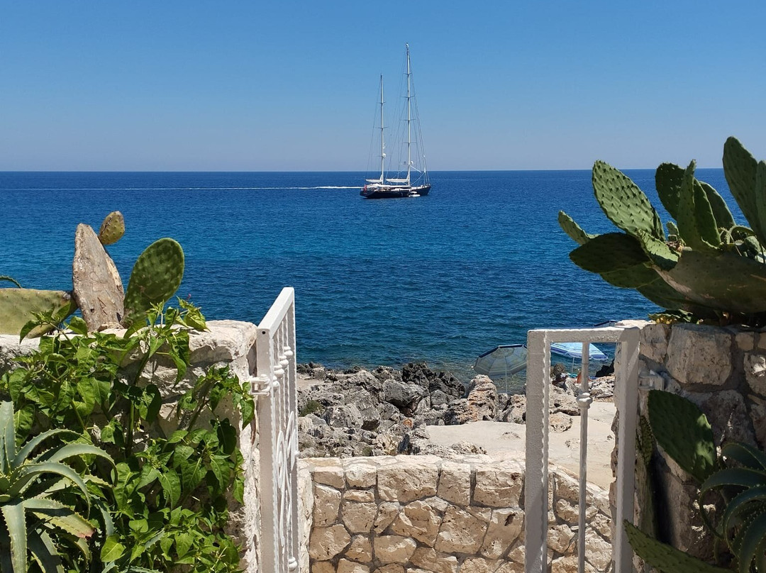 Lamanna's Hotel主图