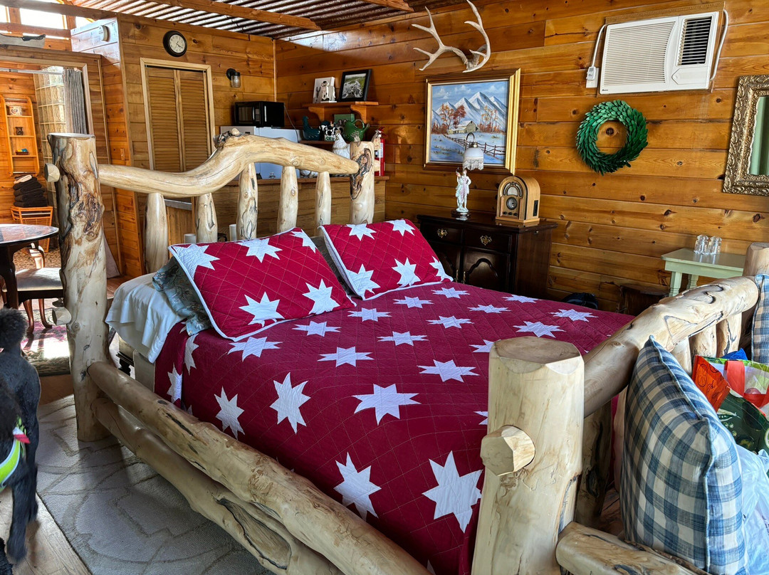 Shady Lady Bed and Breakfast主图