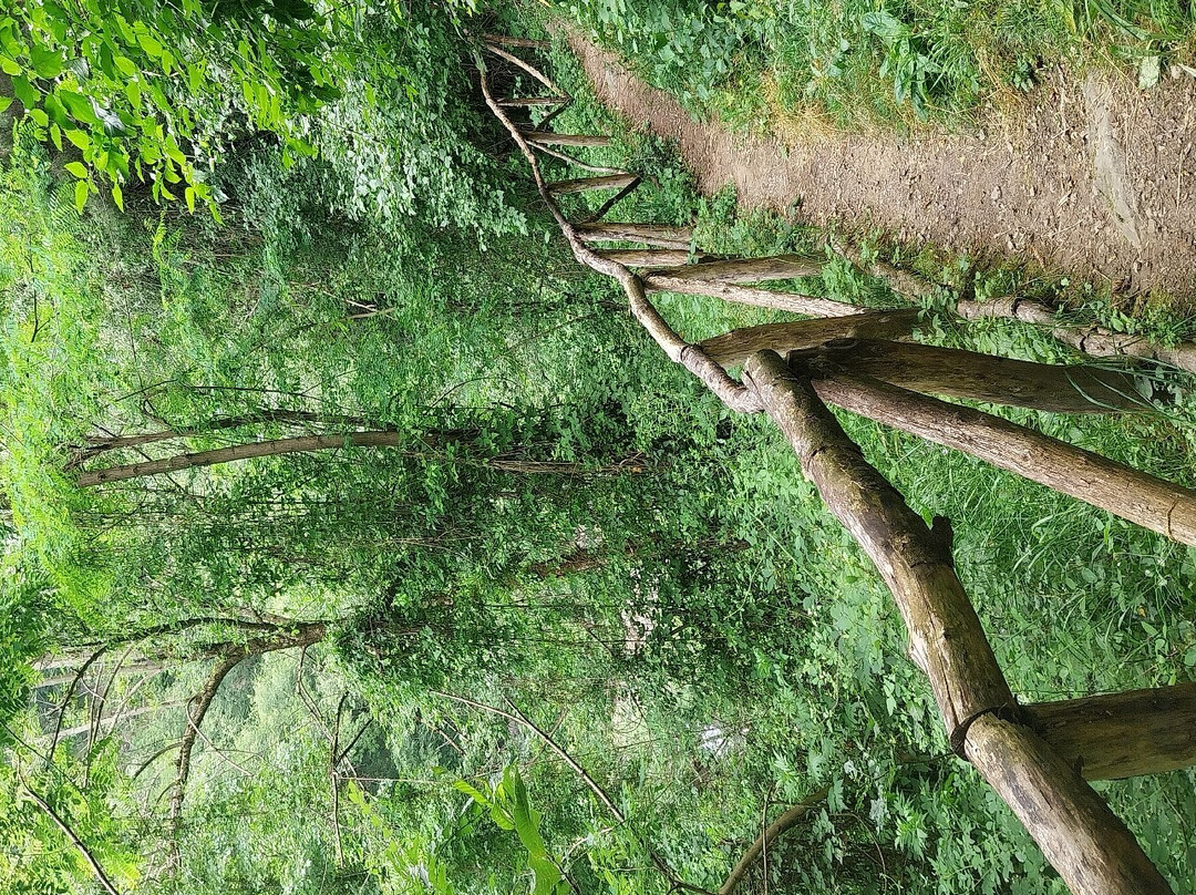 Cascata della Rovinaccia-Canevare必去景点