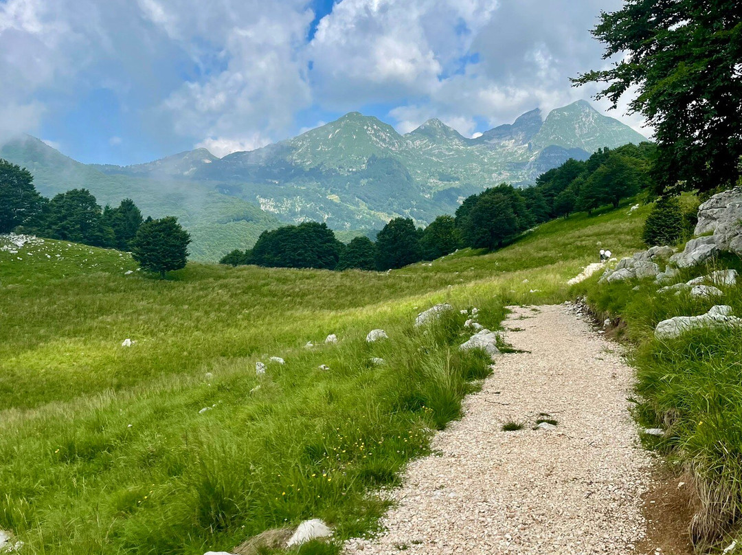 Passeggiata Delle Malghe da Piancavallo景点图片