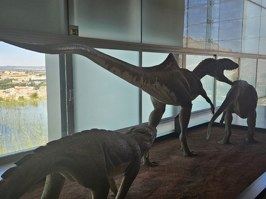 Museo de Paleontologia de Castilla-La Mancha景点图片