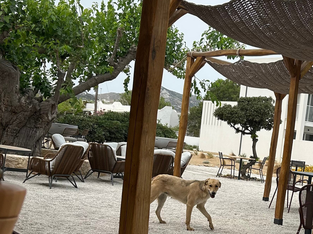 ALERÓ Seaside Skyros Resort主图