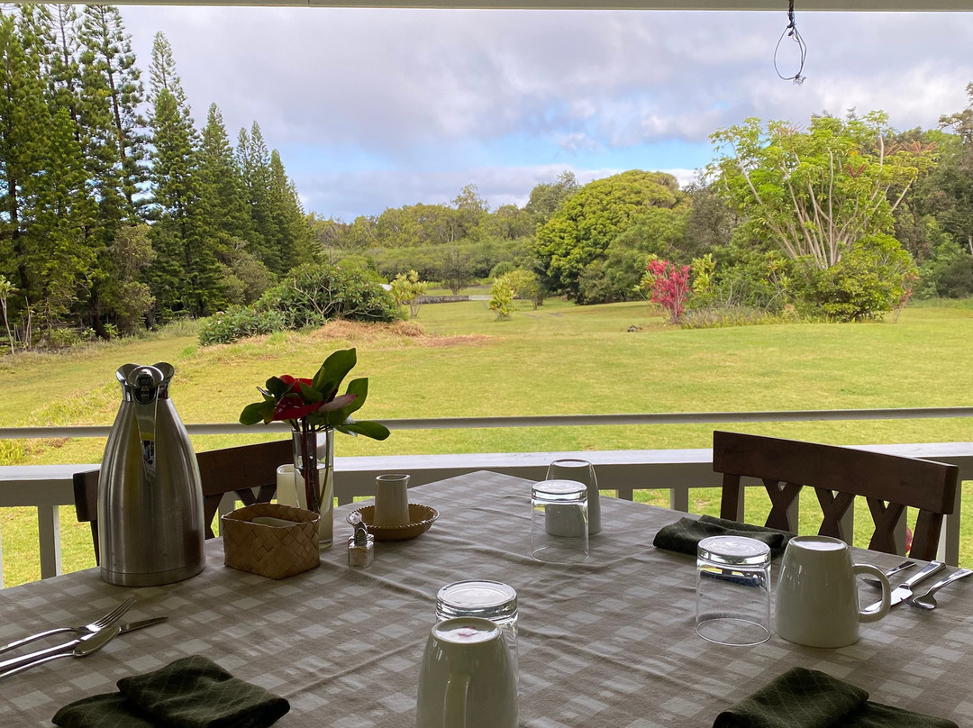 卡拉奇洛哈纳酒店主图