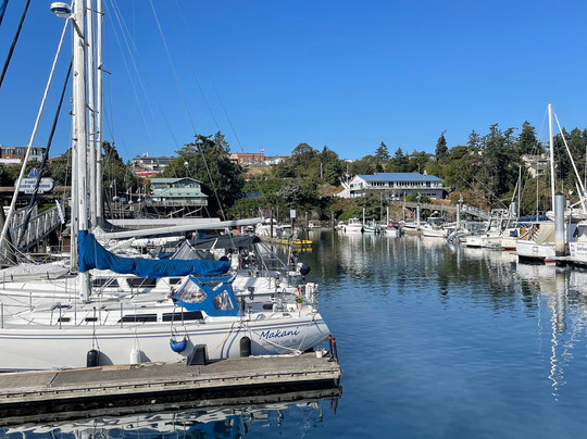 Friday Harbor Cruises-星期五港湾必去景点