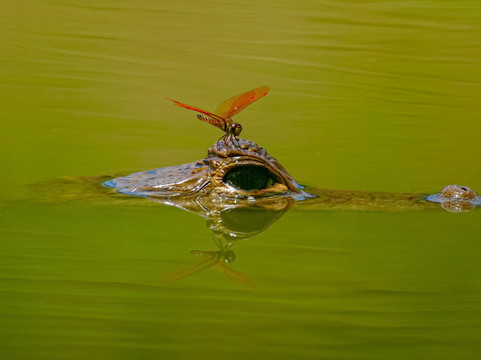 Los Colores de Colombia-波哥大必去景点