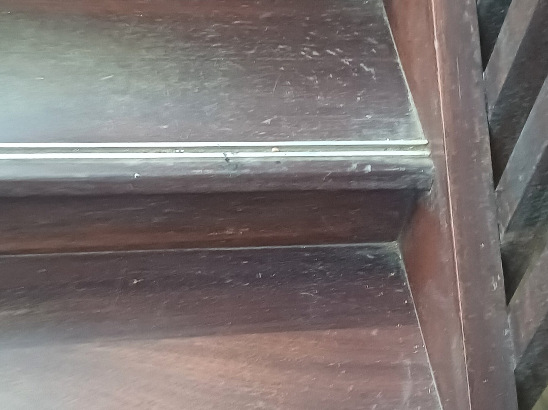 Grand Hotel Montabo主图