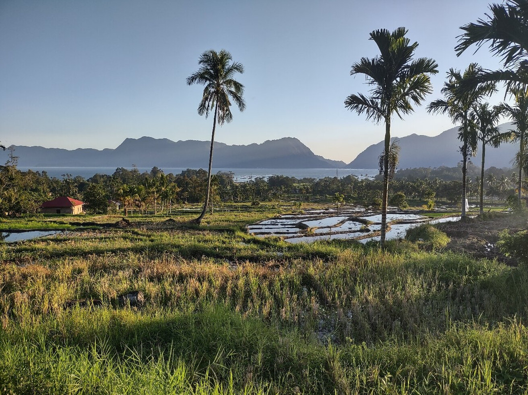 Arlen Nova's Paradise Guesthouse主图