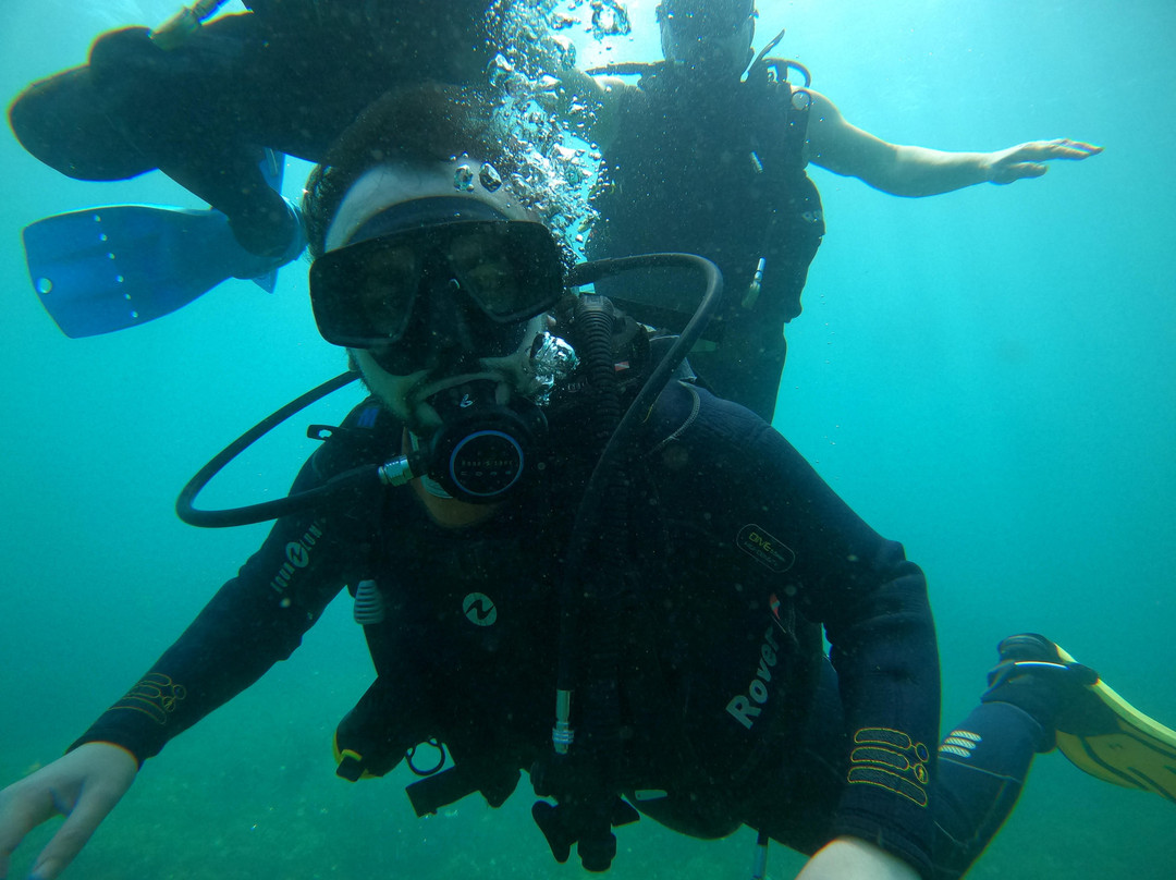 Harry's Diving Center-金沙必去景点