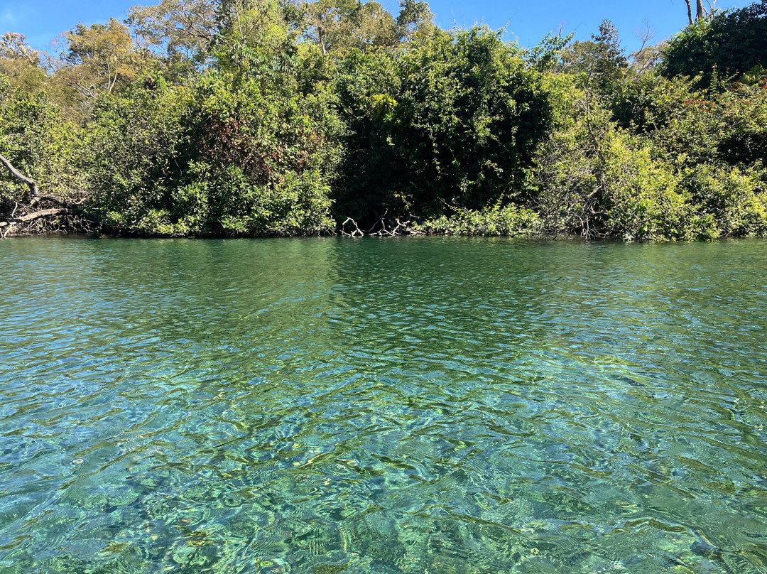 Tocantins Turismo-Palmas必去景点