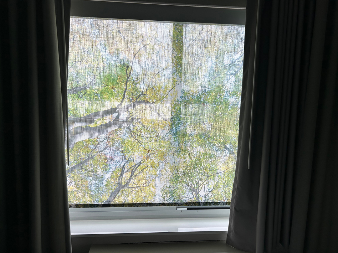 Fairfield by Marriott Inn & Suites Mansfield主图