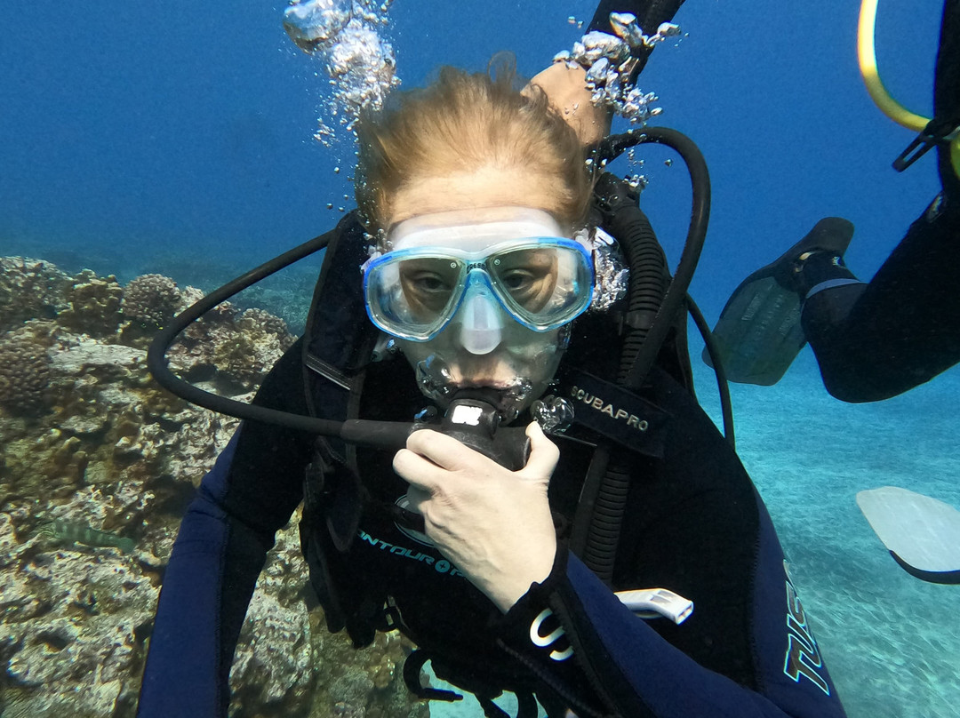 Rapa Nui Dive Center-安加罗阿必去景点