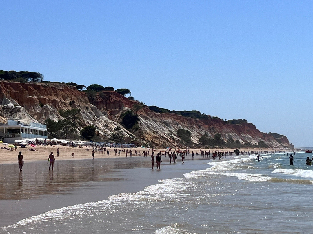 Praia do Barranco das Belharucas景点图片