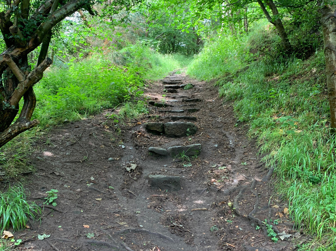 Roslin Glen Country Park-Roslin必去景点